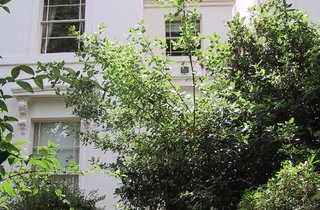 sold-park-place-villas-london-451-view1