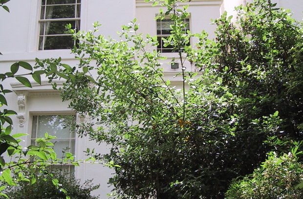 sold-park-place-villas-london-451-view1